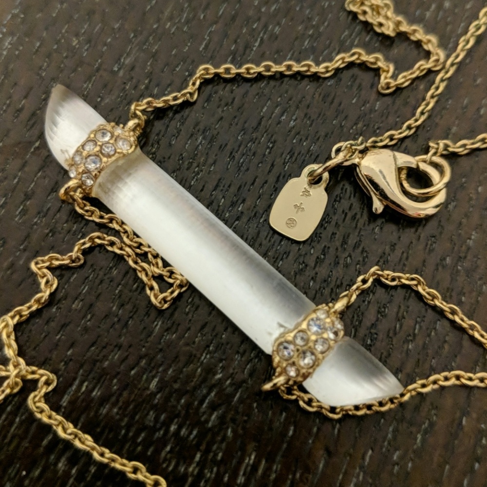 Alexis Bittar Lucite Necklace